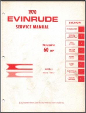 Evinrude 4689
