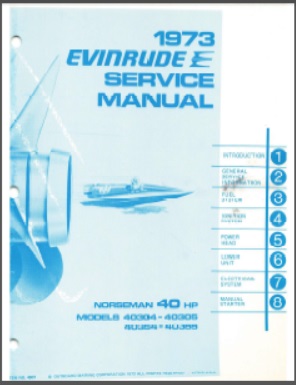 Evinrude 4907