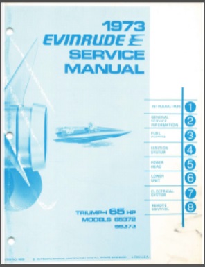 Evinrude 4909