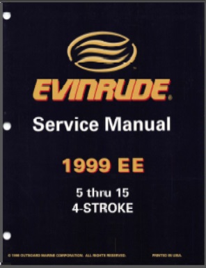 Evinrude 787022