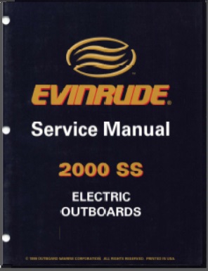 Evinrude 787059