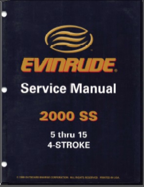 Evinrude 787060