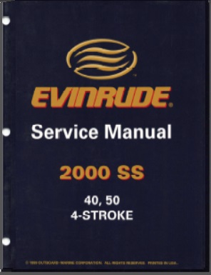 Evinrude 787061