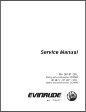 Evinrude 5010279