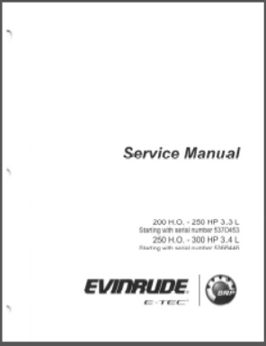 Evinrude 5010283
