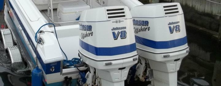 Johnson Outboard Motors by Year